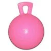 Jolly Ball Speelbal Bubbelgumgeur 25cm -Huisdierbenodigdheden 4000716.48fde6
