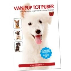 Van Pup Tot Puber DVD