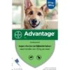 Advantage 400 Spot-On Hond 25-40kg 4 Pipetten