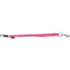Shires Vastzetlijn Shires BUNGEE Beakaway Roze -Huisdierbenodigdheden agradi 44384087 1.1579d8