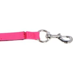 Shires Vastzetlijn Shires BUNGEE Beakaway Roze -Huisdierbenodigdheden agradi 44384087 3.26a2fd