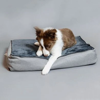 Kentucky Honden Bed Soft Pillow 4 Kentucky Honden Bed Soft Pillow - Afbeelding 2