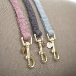 Kentucky Hondenriem Wol Lichtroze 8 Kentucky Hondenriem Wol Lichtroze -Huisdierbenodigdheden agradi 44732017 4.0f2e53