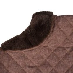 Back On Track Hondendeken Haze Bruin -Huisdierbenodigdheden agradi 44751787 10.e4042a