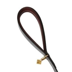 LeMieux Hondenriem Windsor Padded Bruin -Huisdierbenodigdheden agradi 44999330 2.48ddc5