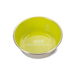 Beeztees Hondenvoerbak WTF RVS Groen 20cm