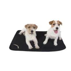 Back On Track Hondenmatras Cage Fit Zwart 8 Back On Track Hondenmatras Cage Fit Zwart -Huisdierbenodigdheden bot 3035 cagefit dogmatras studio transp onwhite.67ae4d