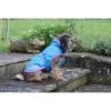 Bucas Freedom Dog Rug Denim -Huisdierbenodigdheden bucas freedom dog rug denim p6455.6b49be