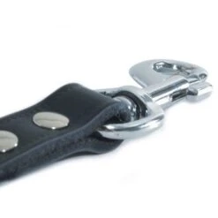 Beeztees Ipts Korthouder Zwart 40x18cm 7 Beeztees Ipts Korthouder Zwart 40x18cm -Huisdierbenodigdheden bz 0736412 1.e2792d