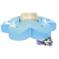 Officinalis Liksteenhouder Lollyflower