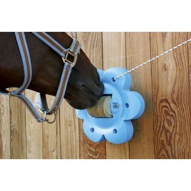 Officinalis Liksteenhouder Lollyflower 4 Officinalis Liksteenhouder Lollyflower - Afbeelding 2