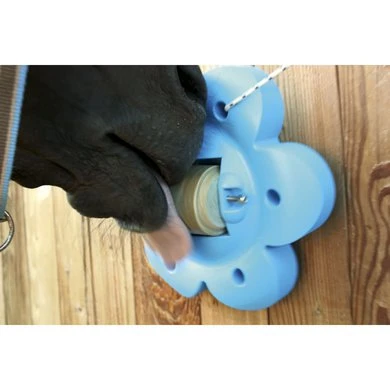 Officinalis Liksteenhouder Lollyflower 5 Officinalis Liksteenhouder Lollyflower - Afbeelding 3