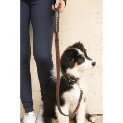 PÉNÉLOPE Pénélope Hondenriem Rubber Havana