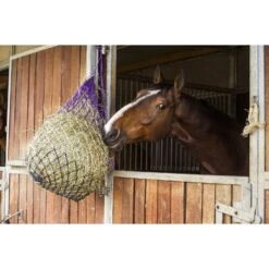 Hippotonic Hooinet Tricolour Paars/Beige/Blauw 97cm -Huisdierbenodigdheden ekkia z04754 306 825 157 ambi.0a1698