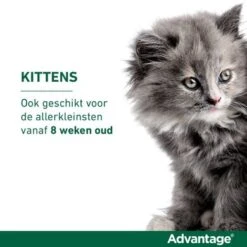 Advantage 40 Spot-On Kat <4kg 4pip 13 Advantage 40 Spot-On Kat <4kg 4pip -Huisdierbenodigdheden elanco advantage usp2.51811c