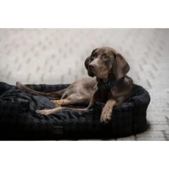 Eskadron Hondenbed Velvet Stamp Zwart -Huisdierbenodigdheden eskadron esk 0222 kam 371273 490 290.42ba0c