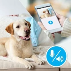 Ezviz C2C Smart Home Camera 14 Ezviz C2C Smart Home Camera -Huisdierbenodigdheden ezviz 06970443210769 03.d3901e