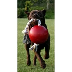 Jolly Ball Romp-n-Roll Oranje -Huisdierbenodigdheden ho 11829.e76083 1