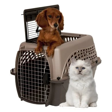 PET MATE Petmate 2 Door Top Load Kennel (4,5-9kg) Bruin 61cm 4 PET MATE Petmate 2 Door Top Load Kennel (4,5-9kg) Bruin 61cm - Afbeelding 2