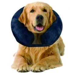 Inflatable Protective Collar -Huisdierbenodigdheden ho 28793.c21a2a
