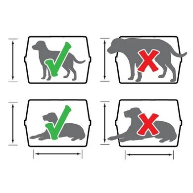 PET MATE Petmate 2 Door Top Load Kennel (<4,5kg) Wit 48cm 5 PET MATE Petmate 2 Door Top Load Kennel (<4,5kg) Wit 48cm - Afbeelding 3