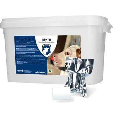 Excellent Rehy-Tab Plus Bruistablet 48 Tabletten 3 Excellent Rehy-Tab Plus Bruistablet 48 Tabletten