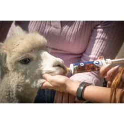 Excellent Vitamine Gel Injector -Huisdierbenodigdheden hof 273932.7c9bb5