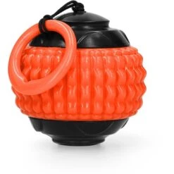 Dog Comets Bal Blazar Jet Oranje