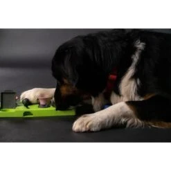 Eat Slow Live Longer Puzzle Triangle 9 Eat Slow Live Longer Puzzle Triangle -Huisdierbenodigdheden hof 279698.7fe0cb