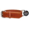 Spotted Pro! Hondenhalsband Leer Cognac -Huisdierbenodigdheden hof 280126.483a87