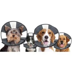 Zencone Soft Recovery Collar -Huisdierbenodigdheden hof 34685.8e96e9