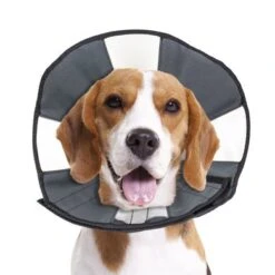 Zencone Soft Recovery Collar -Huisdierbenodigdheden hof 34688.f35555