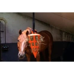 Excellent Slowfeeder Fun And Flex Wortel Oranje -Huisdierbenodigdheden hof hooi018m124 hay slowfeeder fun and flex 22 cm groene wortel.7dff6e