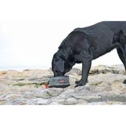 Kong Voer En Drinkbak Fold-up Double -Huisdierbenodigdheden hof kong98437.a3d66d