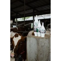 Excellent Maxi Mint Grootverpakking Incl. Dosator 2,5L -Huisdierbenodigdheden hofman 136075.f4f59f