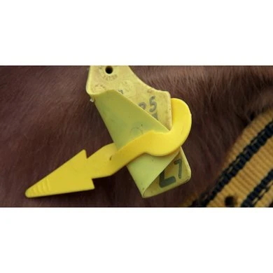 Virbac Oorlabels Anti-Vliegen Auriplak 10st 6 Virbac Oorlabels Anti-Vliegen Auriplak 10st - Afbeelding 4