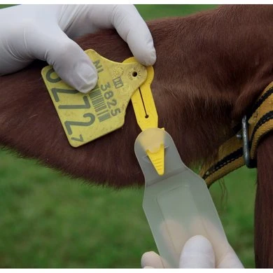 Virbac Oorlabels Anti-Vliegen Auriplak 10st 8 Virbac Oorlabels Anti-Vliegen Auriplak 10st - Afbeelding 6