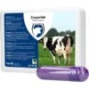 Excellent Cowperien Bolus 4st -Huisdierbenodigdheden hofman 49592.f0ad0d