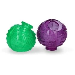 Kong Lock-It Large 2 Pack -Huisdierbenodigdheden hofman 52207.e0b36d