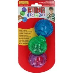 Kong Lock-It Large 2 Pack