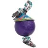 Jolly Ball Met Touw 20 Cm Paars