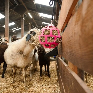 Excellent Hay Slowfeeder Fun And Flex Roze 22cm 5 Excellent Hay Slowfeeder Fun And Flex Roze 22cm - Afbeelding 3