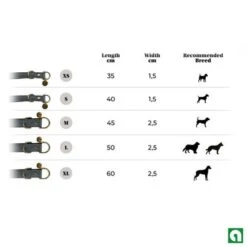 Kentucky Halsband Loop Grey -Huisdierbenodigdheden hondenhalsband loop.8a4b2a