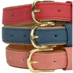 Kentucky Hondenhalsband Soft Vegan Leather Rood/Beige 9 Kentucky Hondenhalsband Soft Vegan Leather Rood/Beige -Huisdierbenodigdheden kd22 42559 03 42559 13 42559 57.e67093