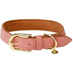 Kentucky Hondenhalsband Soft Vegan Leather Peach/Bruin -Huisdierbenodigdheden kd22 42559 57.3e22ee