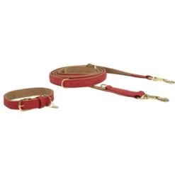Kentucky Hondenhalsband Soft Vegan Leather Rood/Beige 8 Kentucky Hondenhalsband Soft Vegan Leather Rood/Beige -Huisdierbenodigdheden kd22 42562 13 2 42559 13.098fbf