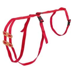 Kerbl Prolaps Tuigje Schaap -Huisdierbenodigdheden ke 103031.4a6fed