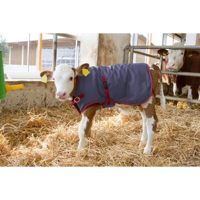 Kerbl Kalverdeken Thermoplus 6 Kerbl Kalverdeken Thermoplus - Afbeelding 4