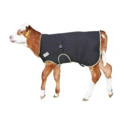 Kerbl Kalverdeken Premium Zwart 70cm 6 Kerbl Kalverdeken Premium Zwart 70cm -Huisdierbenodigdheden ke 141571.e4ac2e