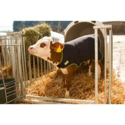 Kerbl Kalverdeken Premium Zwart 70cm 7 Kerbl Kalverdeken Premium Zwart 70cm -Huisdierbenodigdheden ke 141572.80c319